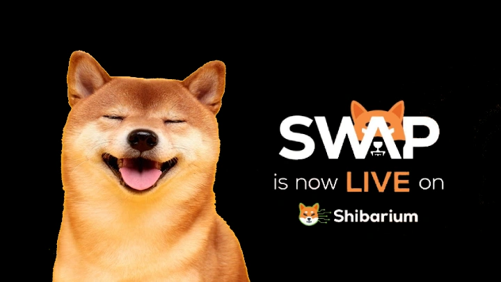 ShibaSwap Upgrades, Moves to Shibarium