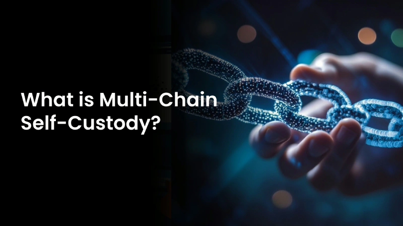 What is Multi-Chain Custody?