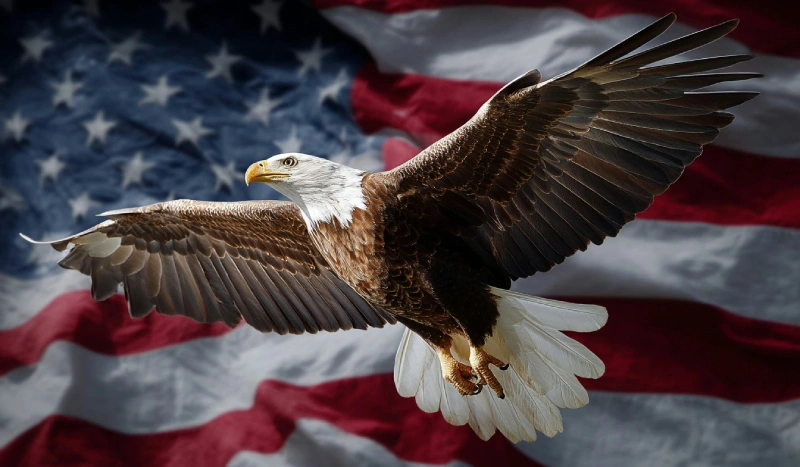 US SEC
