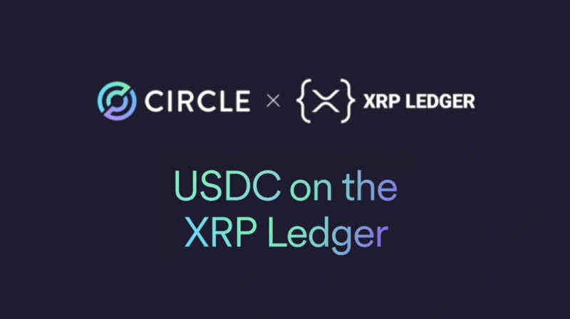 XRP Circle